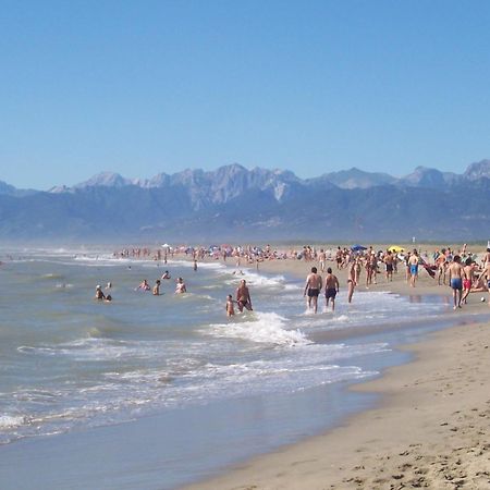 Casa Vacanze “Bouganville” Loc Avane Pisa Векк'яно Екстер'єр фото