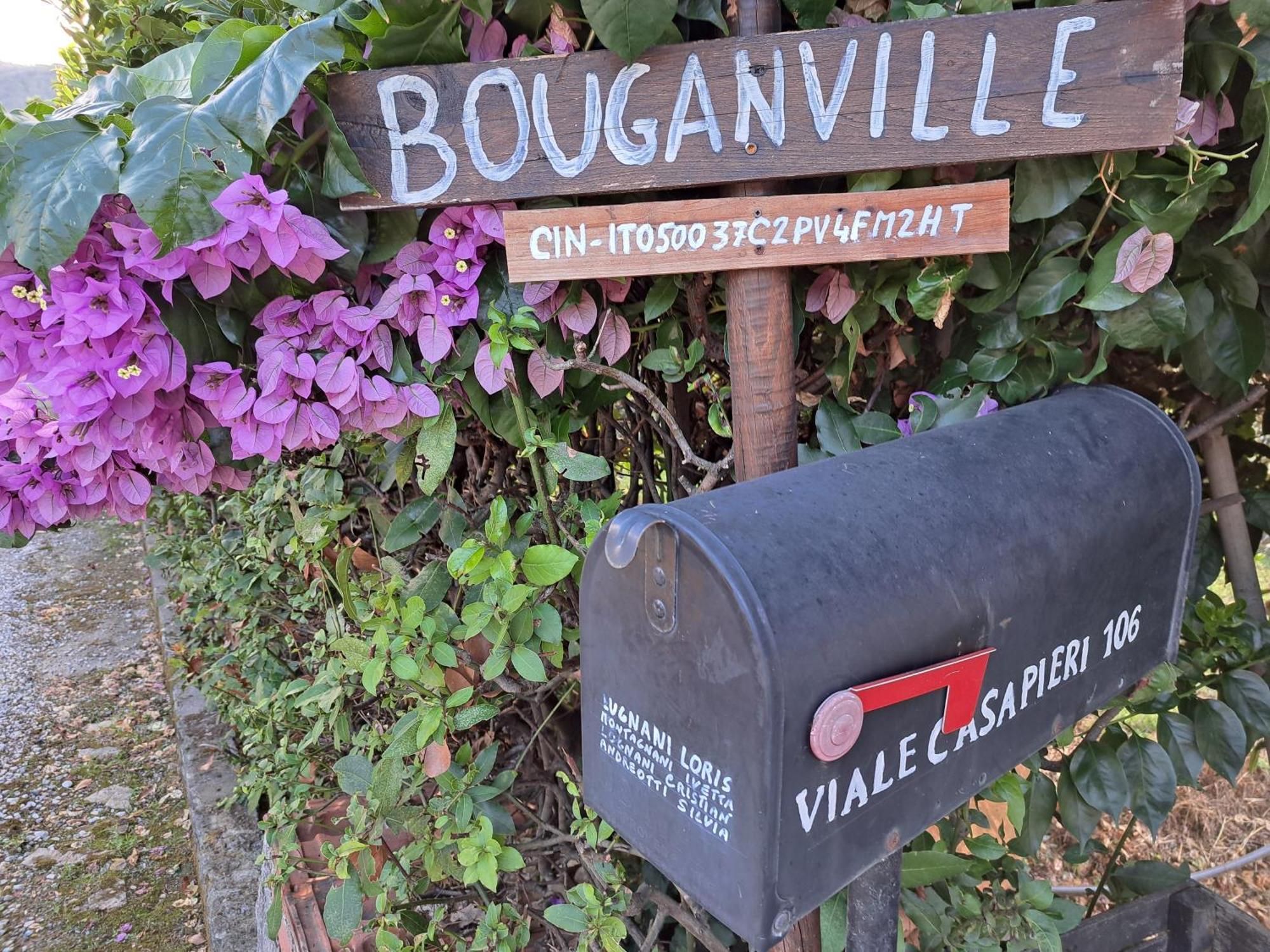Casa Vacanze “Bouganville” Loc Avane Pisa Векк'яно Екстер'єр фото